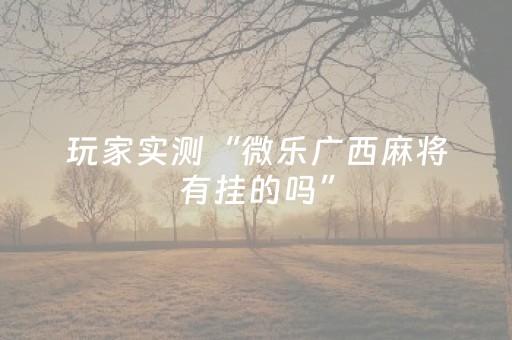 玩家实测“微乐广西麻将有挂的吗”（详细透视教程）-哔哩哔哩