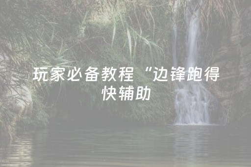 玩家必备教程“边锋跑得快辅助（专用辅牌神器免安装）