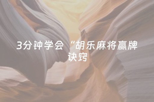 3分钟学会“胡乐麻将赢牌诀窍（专用辅牌神器免安装）
