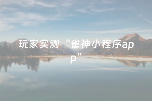 玩家实测“雀神小程序app”（详细透视教程）-哔哩哔哩