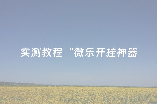 实测教程“微乐开挂神器（助赢神器通用版）