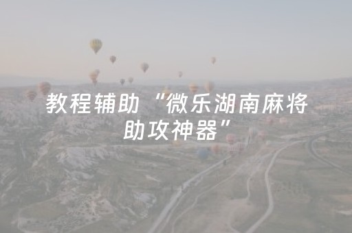 教程辅助“微乐湖南麻将助攻神器”（详细透视教程）-哔哩哔哩