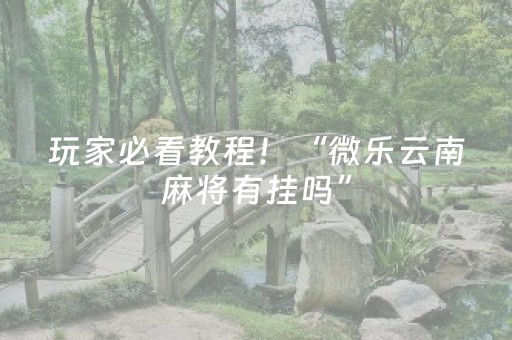 玩家必看教程！“微乐云南麻将有挂吗”（详细开挂教程）-哔哩哔哩