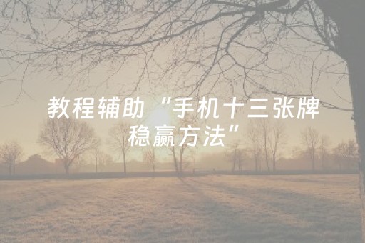 教程辅助“手机十三张牌稳赢方法”（详细透视教程）-哔哩哔哩