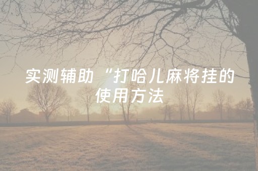 实测辅助“打哈儿麻将挂的使用方法（专用辅牌神器免安装）