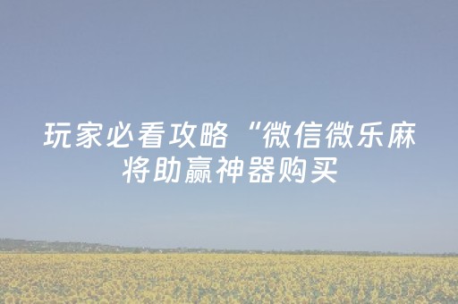 玩家必看攻略“微信微乐麻将助赢神器购买（专用辅牌神器免安装）