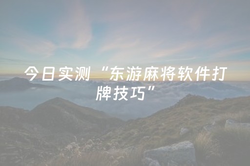 今日实测“东游麻将软件打牌技巧”（详细辅助教程）-哔哩哔哩