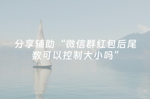 分享辅助“微信群红包后尾数可以控制大小吗”（详细透视教程）-哔哩哔哩