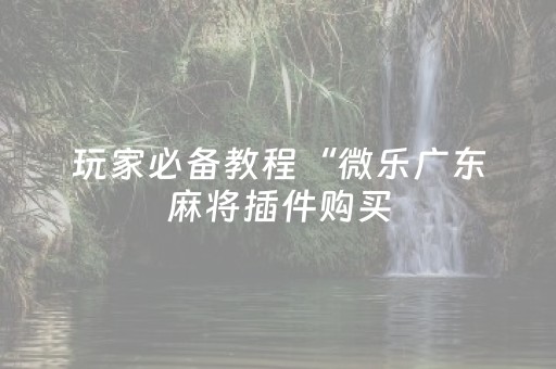 玩家必备教程“微乐广东麻将插件购买（专用辅牌神器免安装）