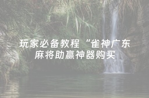 玩家必备教程“雀神广东麻将助赢神器购买（专用辅牌神器免安装）