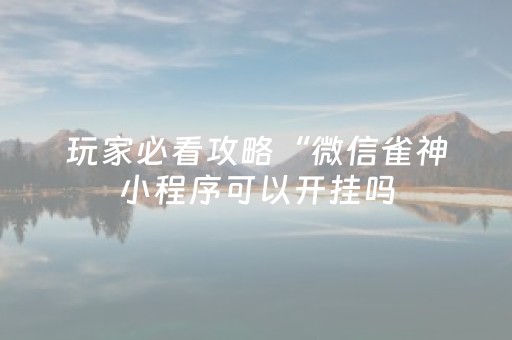 玩家必看攻略“微信雀神小程序可以开挂吗（助赢神器通用版）