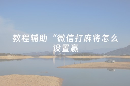 教程辅助“微信打麻将怎么设置赢（助赢神器通用版）