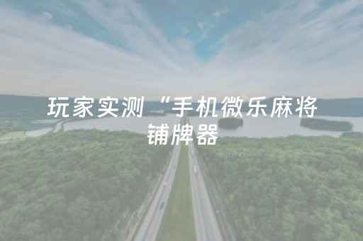 玩家实测“手机微乐麻将铺牌器（专用辅牌神器免安装）
