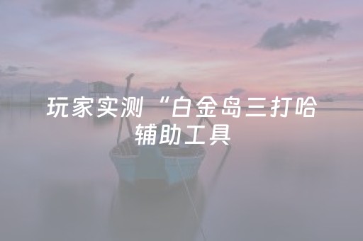 玩家实测“白金岛三打哈辅助工具（专用辅牌神器免安装）