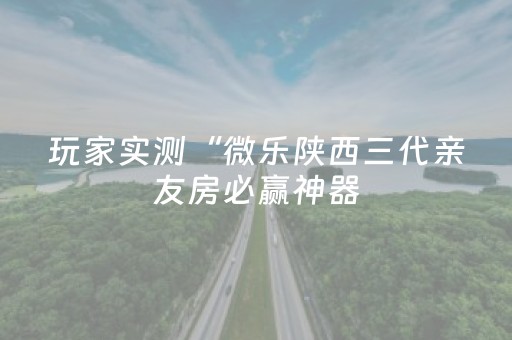 玩家实测“微乐陕西三代亲友房必赢神器（助赢神器通用版）
