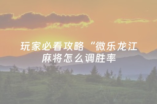 玩家必看攻略“微乐龙江麻将怎么调胜率（助赢神器通用版）