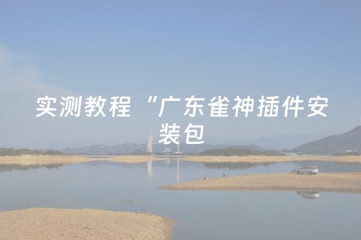 实测教程“广东雀神插件安装包（助赢神器通用版）