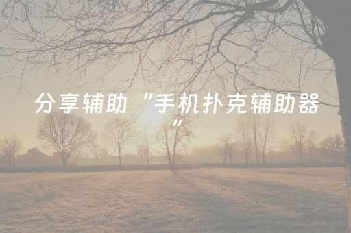 分享辅助“手机扑克辅助器”（详细透视教程）-哔哩哔哩