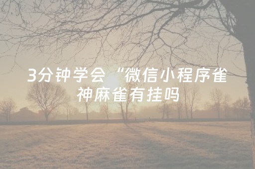 3分钟学会“微信小程序雀神麻雀有挂吗（专用辅牌神器免安装）