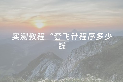 实测教程“套飞针程序多少钱（专用辅牌神器免安装）