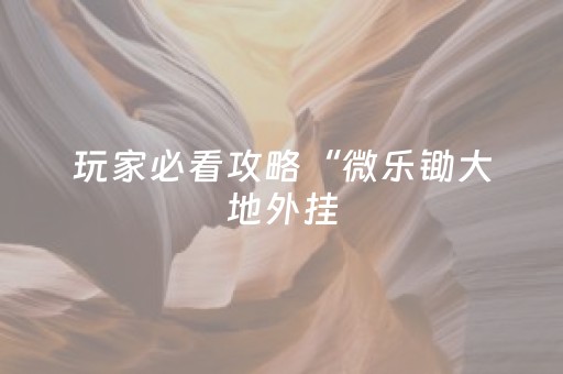 玩家必看攻略“微乐锄大地外挂（专用辅牌神器免安装）