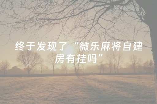 终于发现了“微乐麻将自建房有挂吗”（详细透视教程）-哔哩哔哩