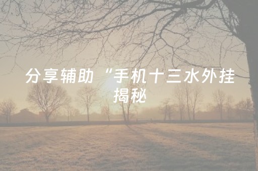 分享辅助“手机十三水外挂揭秘（专用辅牌神器免安装）