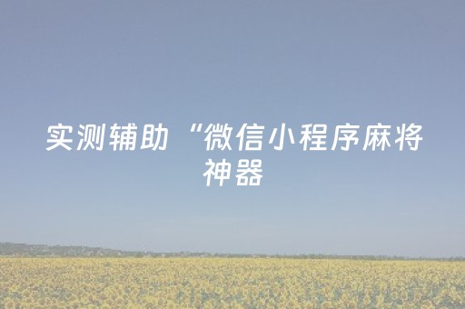 实测辅助“微信小程序麻将神器（助赢神器通用版）