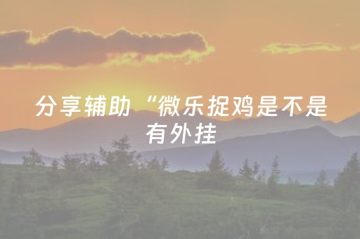 分享辅助“微乐捉鸡是不是有外挂（助赢神器通用版）