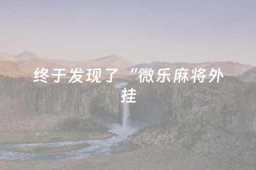 终于发现了“微乐麻将外挂（助赢神器通用版）