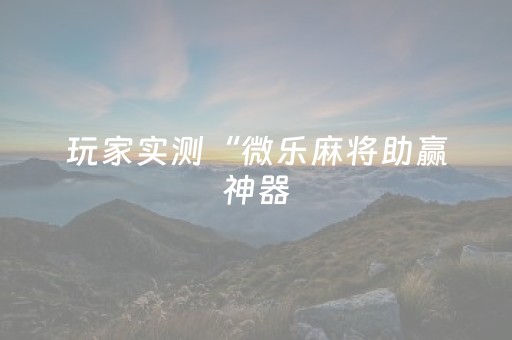 玩家实测“微乐麻将助赢神器（助赢神器通用版）