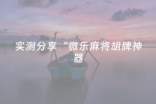 实测分享“微乐麻将胡牌神器（专用辅牌神器免安装）