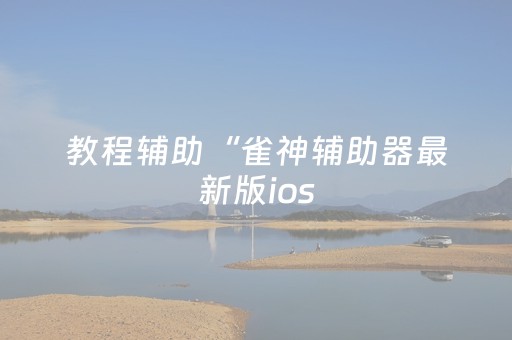 教程辅助“雀神辅助器最新版ios（专用辅牌神器免安装）