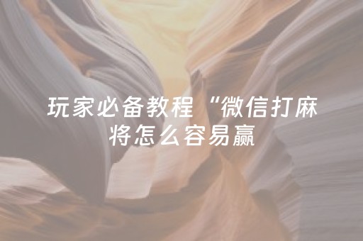 玩家必备教程“微信打麻将怎么容易赢（助赢神器通用版）