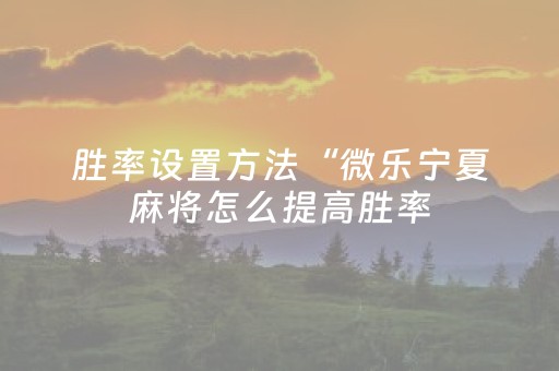 胜率设置方法“微乐宁夏麻将怎么提高胜率（专用辅牌神器免安装）