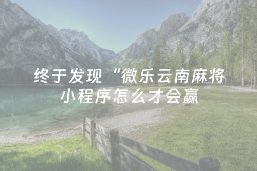 终于发现“微乐云南麻将小程序怎么才会赢（助赢神器通用版）