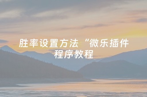 胜率设置方法“微乐插件程序教程（助赢神器通用版）