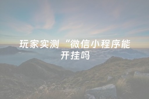 玩家实测“微信小程序能开挂吗（专用辅牌神器免安装）