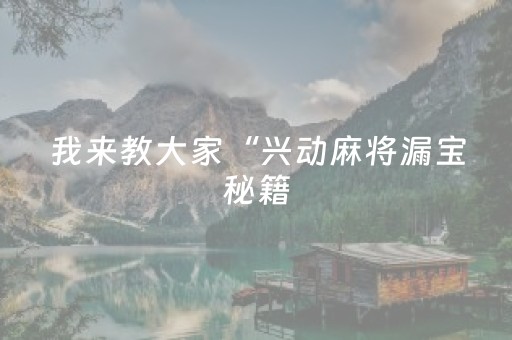 我来教大家“兴动麻将漏宝秘籍（助赢神器通用版）