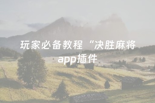 玩家必备教程“决胜麻将app插件（专用辅牌神器免安装）
