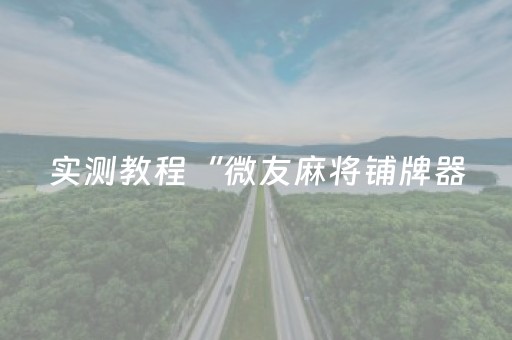 实测教程“微友麻将铺牌器（专用辅牌神器免安装）