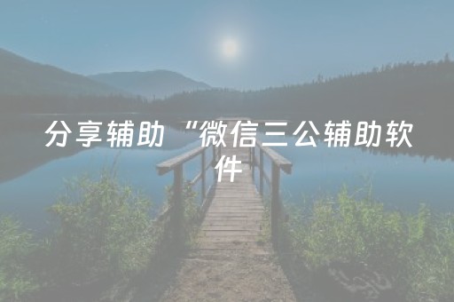 分享辅助“微信三公辅助软件（专用辅牌神器免安装）