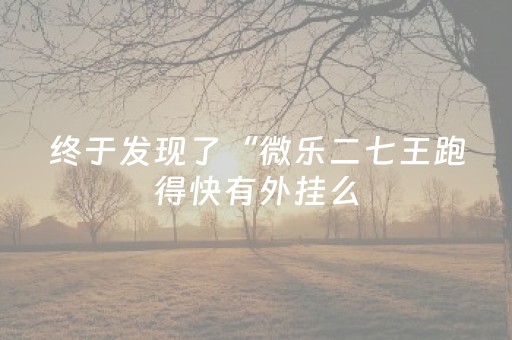 终于发现了“微乐二七王跑得快有外挂么（专用辅牌神器免安装）