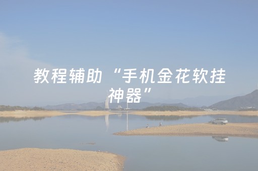 教程辅助“手机金花软挂神器”（详细透视教程）-哔哩哔哩