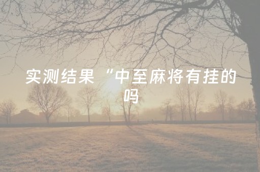 实测结果“中至麻将有挂的吗（助赢神器通用版）