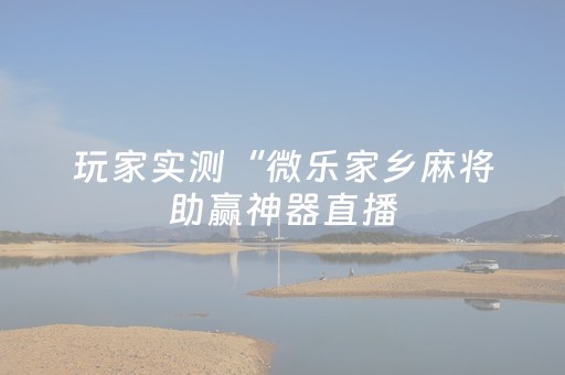 玩家实测“微乐家乡麻将助赢神器直播（专用辅牌神器免安装）