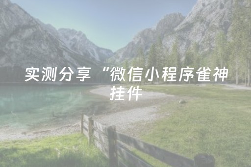 实测分享“微信小程序雀神挂件（助赢神器通用版）