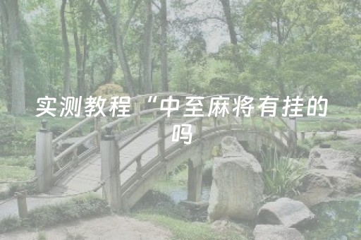 实测教程“中至麻将有挂的吗（专用辅牌神器免安装）