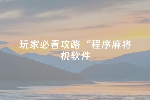 玩家必看攻略“程序麻将机软件（专用辅牌神器免安装）