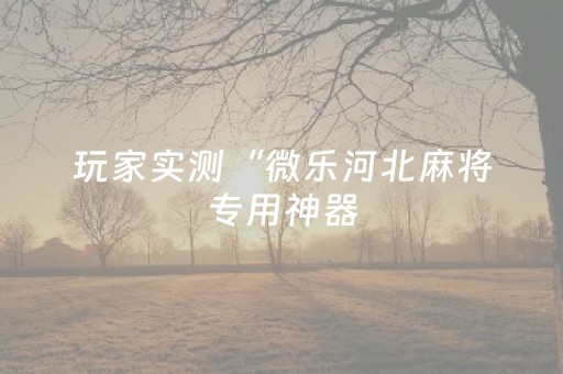 玩家实测“微乐河北麻将专用神器（助赢神器通用版）